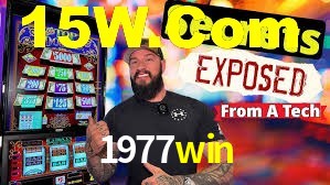Programa VIP 1977win